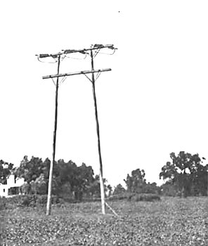 Fig. 6. Transmission Tower equipped with Link Strain Insulators.
