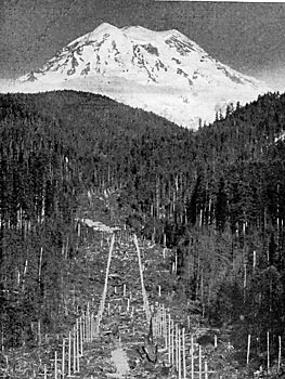 FIG. 16.  VIEW OF TRANSMISSION LINE.  MT. RAINIER IN DISTANCE.