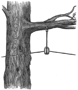 THE VICTOR INSULATOR USED WITH A VICTOR HANGER AS A "TREE INSULATOR."