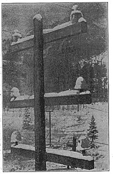 FIG. 4. HIGH-VOLTAGE POWER TRANSMISSION.  50,000 VOLTS ON LARGE GLASS INSULATORS ON TOP CROSS-ARM AND PORCELAIN INSULATORS ON LOWER CROSS-ARM.
