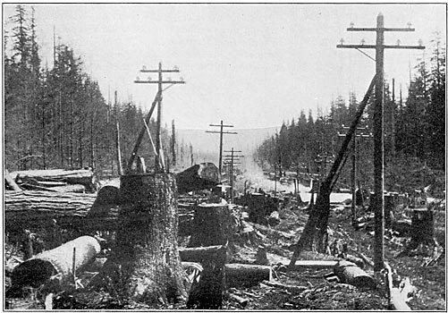 CLEARING THE RIGHT OF WAY. — A CHARACTERISTIC VIEW OF THE COUNTRY THROUGH WHICH THE POLE LINES PASS.