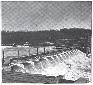 THE DAM AT LOWELL, MICH.