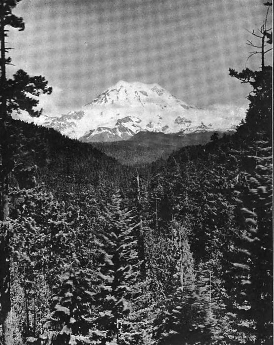 MOUNT RAINER FROM THE FLUME LINE NEAR AUTOMATIC SPILLWAY.