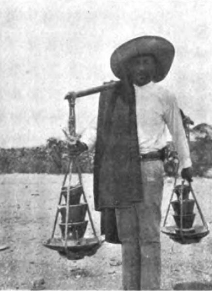 PHOTOGRAPH NO. 44 CARRYING OUT INSULATORS ALONG THE LINE