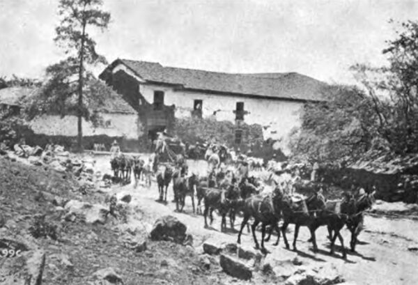 PHOTOGRAPH NO. 62. THE TEAM OF TWENTY - TWO MULES HAULING ONE - HALF OF A GENERATOR ARMATURE