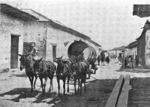 PHOTOGRAPH NO. 65. SECTIONS OF PIPE PASSING THROUGH THE CITY OF ZAMORA TOWARD EL PLATANAL