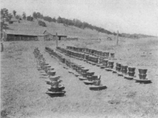 A FIELD OF LOCKE INSULATORS