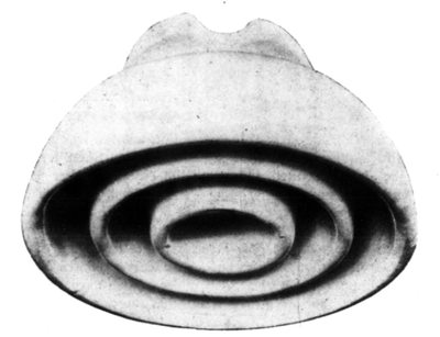 FIG. 23.PORCELAIN TRIPLE PETTICOAT INSULATOR.