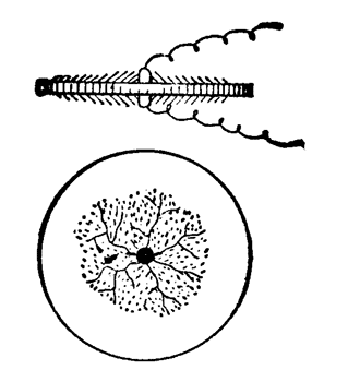 FIG. 9.- TENSION APPLIED TO DISC.