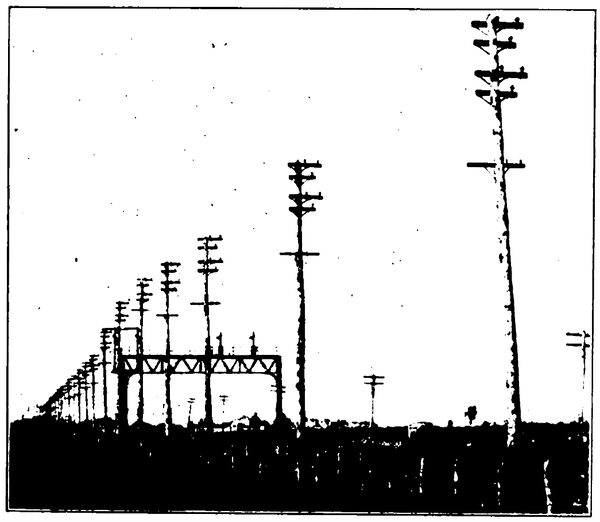 FIG. 10.  WOOD POLE CONSTRUCTION, LOOKING NORTH FROM JAMAICA BAY