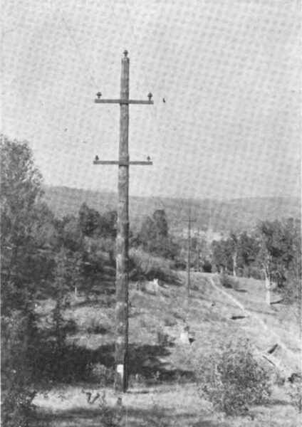 Fig. 10 Looking North on Line Between No. 1 and No. 3 Power Houses, Showing Combination Pine-Cedar Stubbed Pole