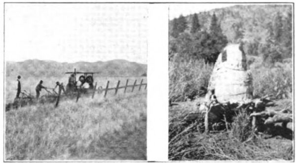 Fig. 38 Farming of Today, Ploughing in the "Stone Corral Fig. 38 Farming of a Thousand Years Ago. Here the "Diggers" and the "Monos" Store the Acorns for Grinding into Meal.