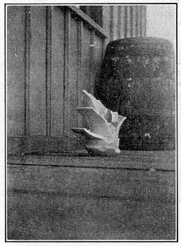 FIG. 13. - Four-part insulator destroyed by power arc.  The only insulator disabled on the reinsulated lines 1909.