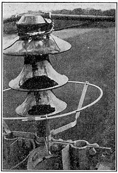 FIG. 14. - Insulator, protected by lower arcing ring, which flashed over successfully.