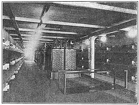 Fig. 24 - Low-Tension Buses and Switches, Electron Station.