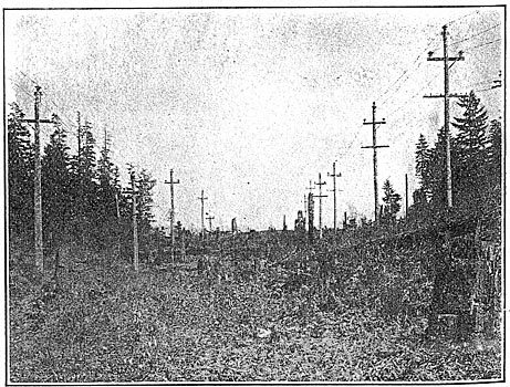 Fig. 26 - 55,000-Volt Line from Electron Station.