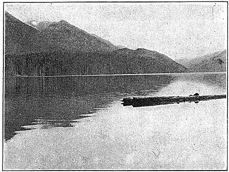 Fig. 1 - Cedar Lake, Used as Reservoir, Seattle Municipal System.