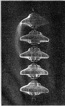 High-Frequency Test of Five J-D Disk Insulators at 600,000 Volts and 100,000 Cycles per Second.  First Static Discharge Occurred at 500,000 Volts.