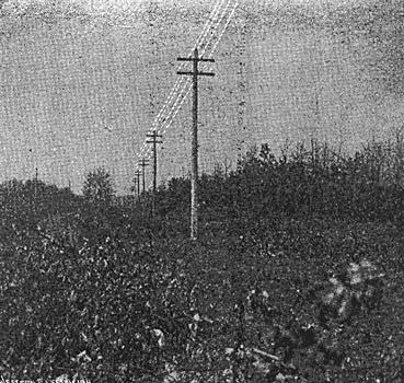 FIG. 6. POWER TRANSMISSION FROM LOWELL TO GRAND RAPIDS, MICH.  A GLIMPSE OF THE CROSS-COUNTRY LINE.