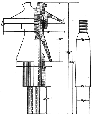 FIG. 7. HIGH-TENSION LINES.  EUCALYPTUS PIN.